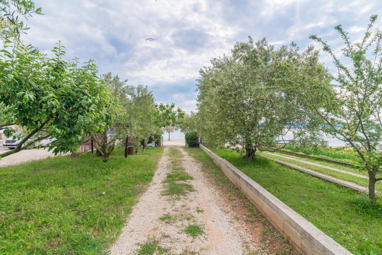 Apartments Bepina Biograd Na Moru Dış mekan fotoğraf